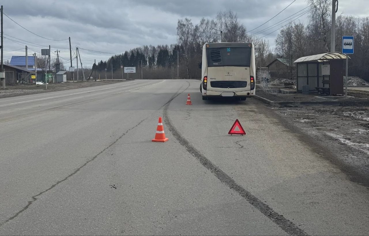 Информация носит предварительный характер