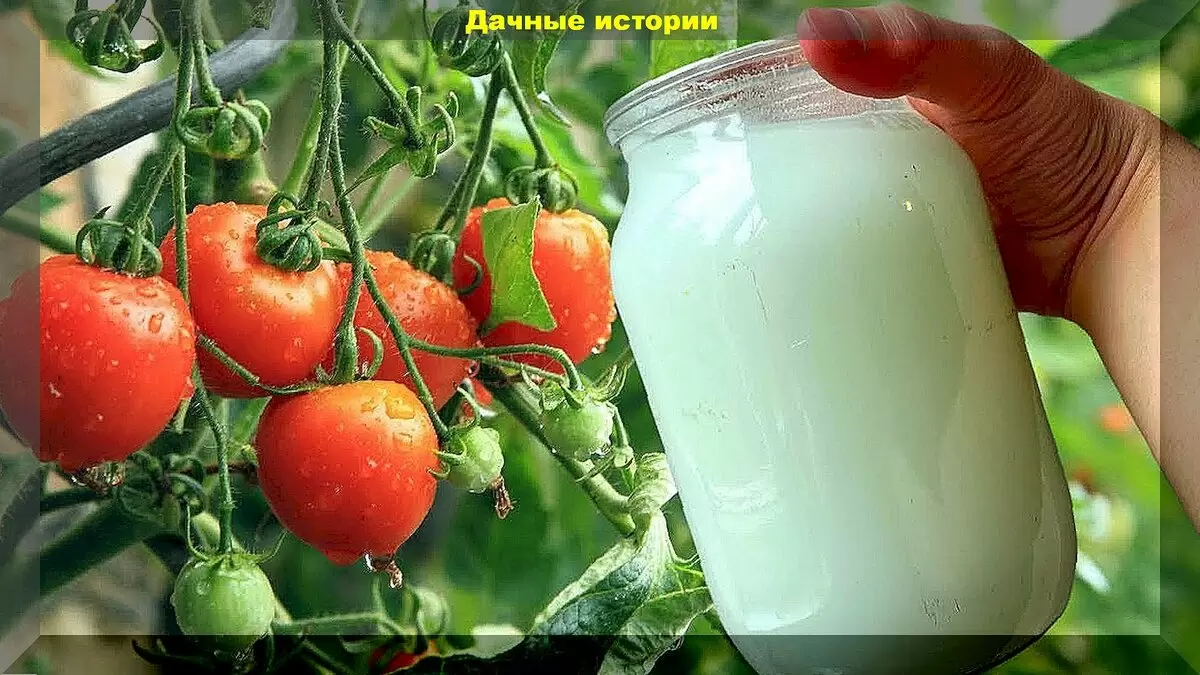 Молоко в саду: как некачественный продукт может стать секретом успешного урожая