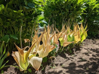 ���� � ���������: ��� �������� ������ ��� ����� �� �����