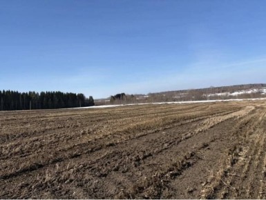 В Оричевском районе сельхозпредприятие сливало навоз в поле