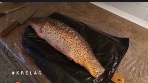 ����� � �������� ����� � �����������: ������� ���������� ������