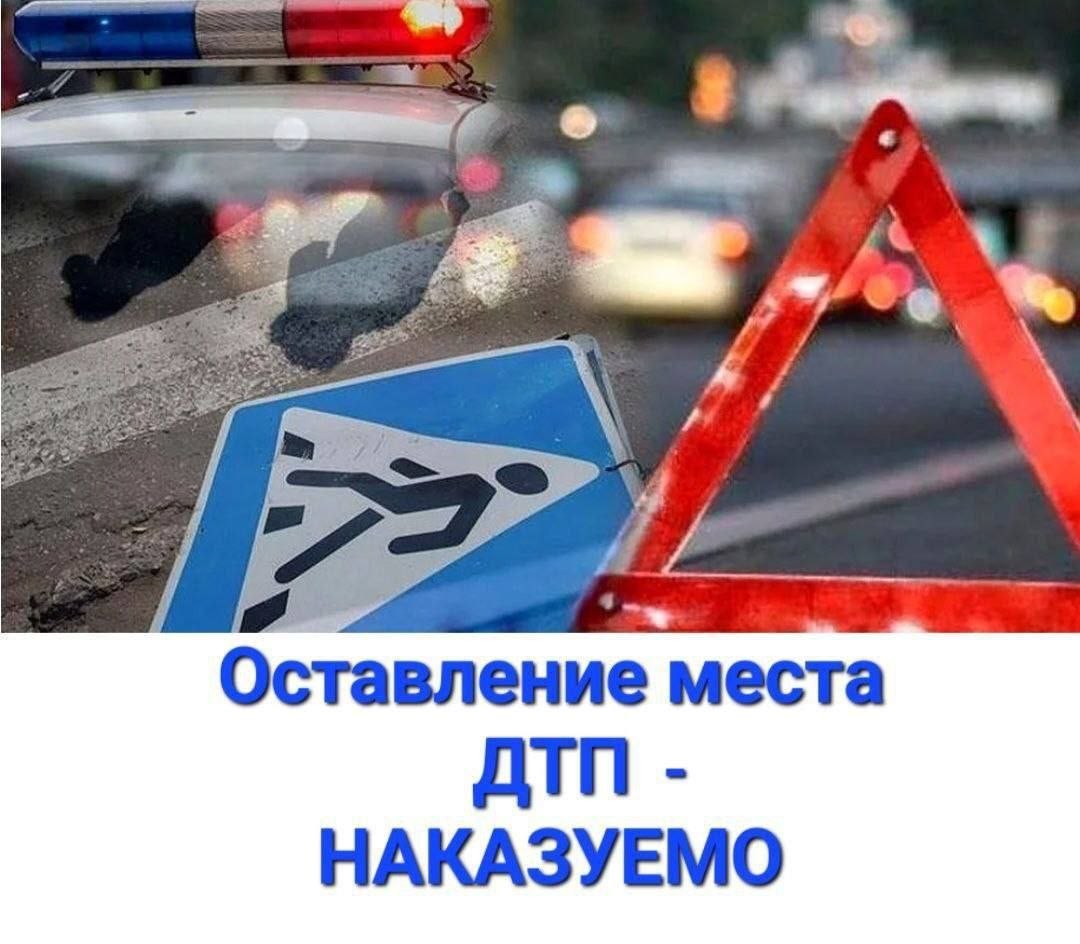 Информация носит предварительный характер Информация носит предварительный характер