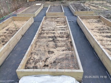 Слизни – неожиданные соседи мульчи и сидератов: как предотвратить нашествие