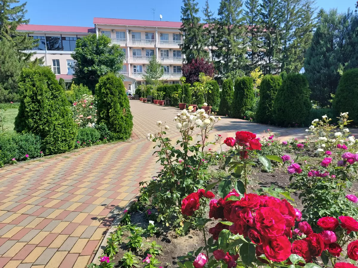 Эксперимент с путевкой в санаторий: стоит ли отказываться от питания?