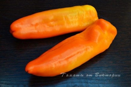 ����� ����� �������: ������� ���� � ����������� ������� �������� �����