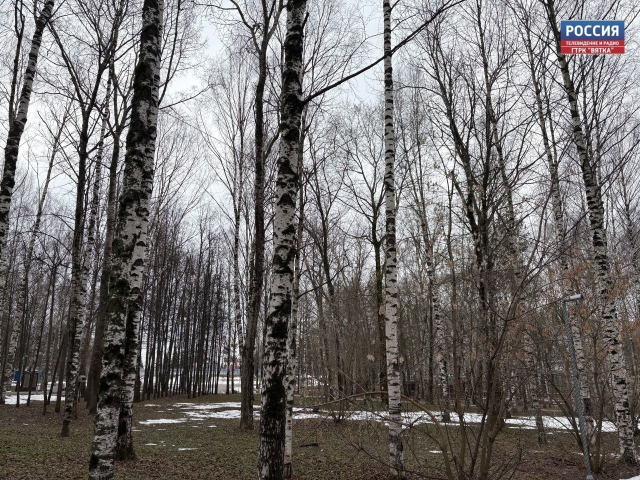 В субботу, 11 апреля, в Кировской области ожидается облачная с прояснениями погода, преимущественно без осадков, сообщили в региональном центре по гидрометеорологии и мониторингу окружающей среды