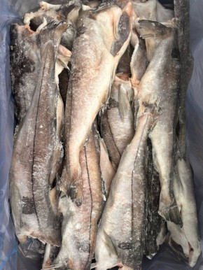 Пикша с Камчатки: свежесть и качество по доступной цене
