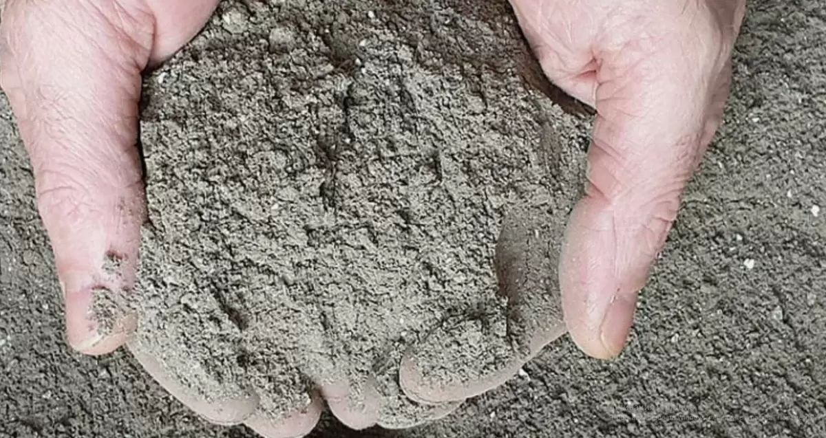 Как улучшить кислотность почвы без извести и доломита