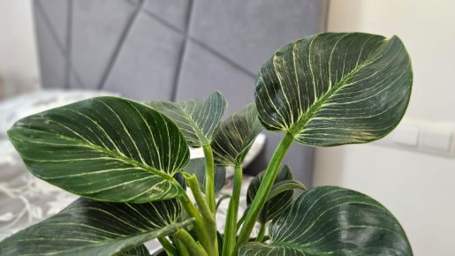 Как сделать дом уютнее: необычные решения, которые работают