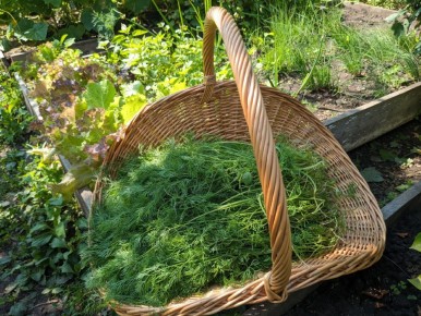 ����� ������� �������� ����� � ������: ������� ������ ���������