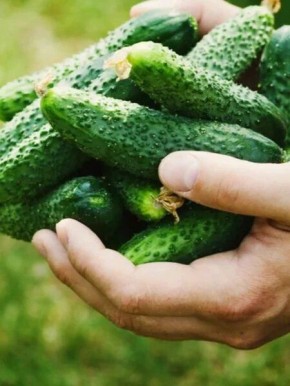 ����� ������ ������: ������� � ������, ��� ��������� ������