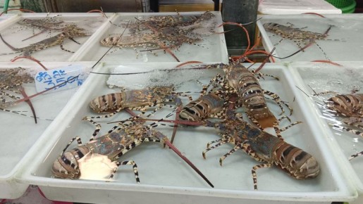 Погружение в тайскую культуру на рыбном рынке Наклуа в Паттайе