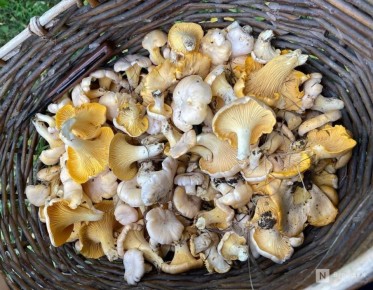 ����� � ������: ����������� ���������� ������ �����