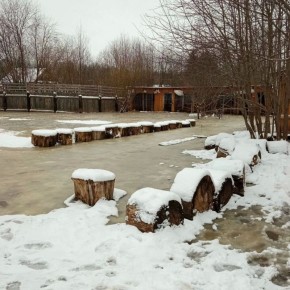 #кактамусоседей. В Глазове из-за паводка затопило территорию приюта для животных