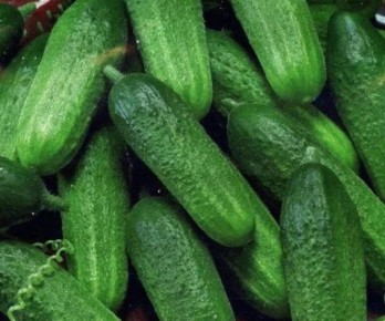 ������ ������ ��� ����: ��� ������� ������������� �����