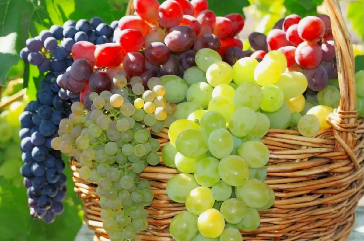 Не все фрукты и овощи полезны: мифы о здоровье под прицелом