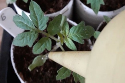 ������ ��������� ������ ������� � ����� � ������ 2026 ����