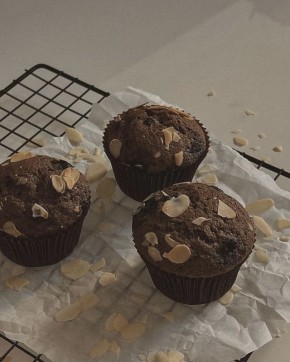 ������� ��������: �������� ��� ��������� ��������