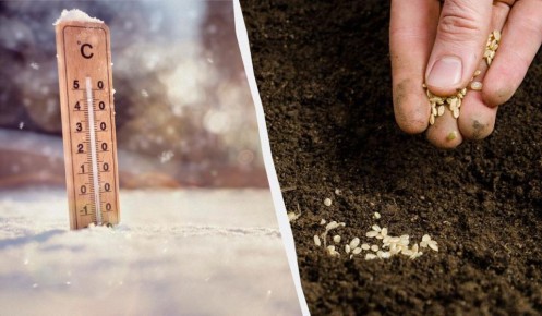 �������: ����� ��� ������� � ��� � ��� ����� �� ����� �������