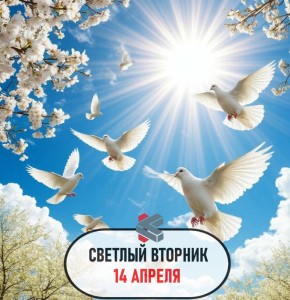 #��������������������. �������� ����������!