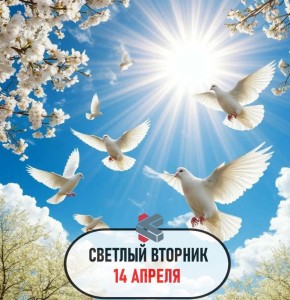 #��������������������. �������� ����������!