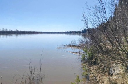 ��������������� ���������� �� 15 ������