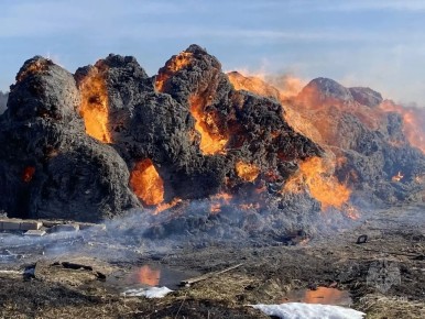 � ������� ����� ����������� ������ ���� 14 ������ ��������� �����