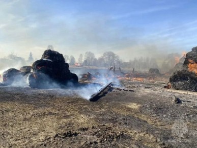 � ������� ����� ����������� ������ ������� ����� � 200 ������� ����