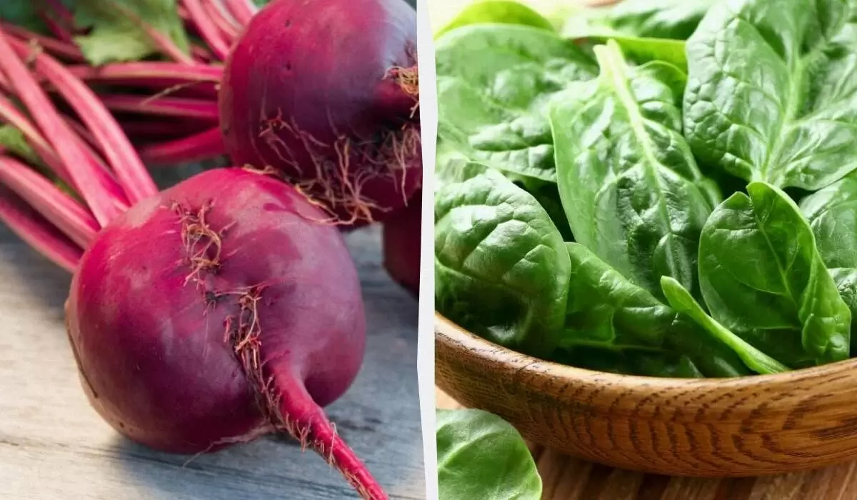 Овощи, богатые магнием: улучшите своё здоровье с помощью этих простых продуктов