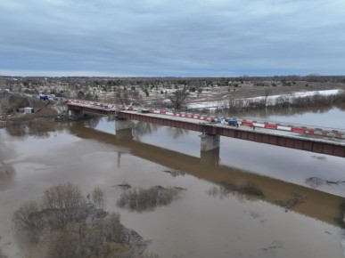 � ��������� ������ ������������ ������ ����� ����� �. �����