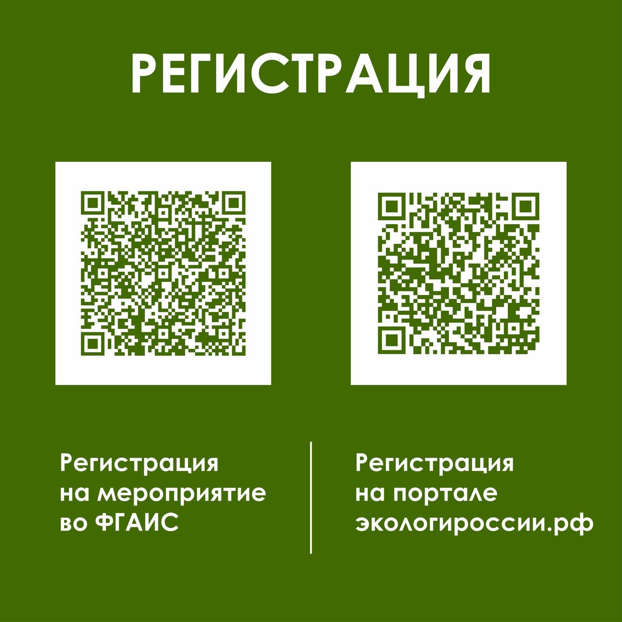 Флагманский субботник Движения «Экосистема» состоится 25 апреля (0+) Флагманский субботник Движения «Экосистема» состоится 25 апреля (0+)