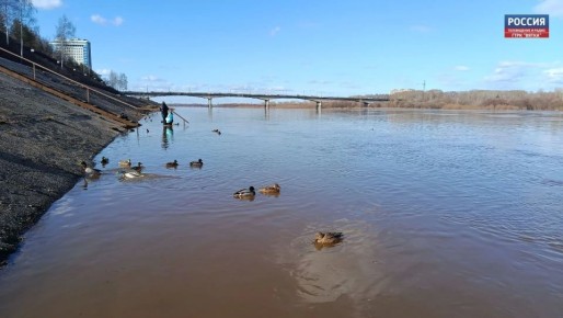 В четверг, 16 апреля, в Кировской области ожидается переменная облачность, преимущественно без осадков, сообщили в региональном центре по гидрометеорологии и мониторингу окружающей среды