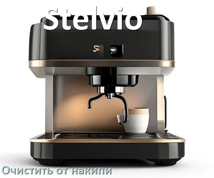 ��� ������� �������� ���������� Stelvio �� ������