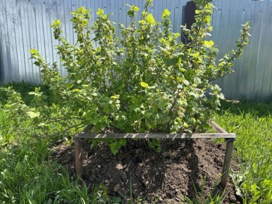 ������� ����: ��� ������� � �������� �������, ����� ��� ��������� ���� � �������� ������