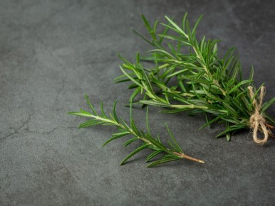 ��� ������� ��������� ������ ������ ������ � ������� ������� ��������