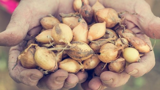 ��� ������� ����� ���� �������� ���� �� ����� ������