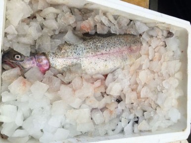 ��������� ������� �� ������ ��������� ������ �� ��������� ����