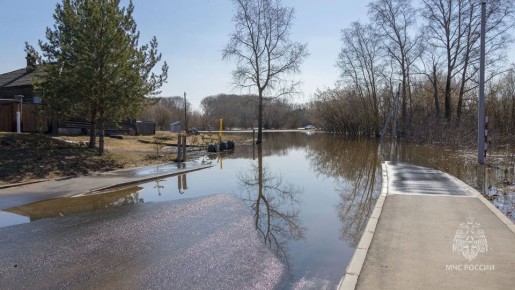 ��������������� ���������� �� 17 ������