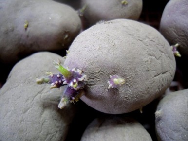 ���������� ��������� � �������: ������� ��������� ������