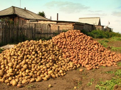 ��� �������� ��������� ������ ���������: ������� ������� �����������