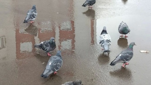 � �������, 18 ������, � ��������� ������� ��������� �������� ������ � �����, ������� �������, �������� � ������������ ������ �� ����������������� � ����������� ���������� �����