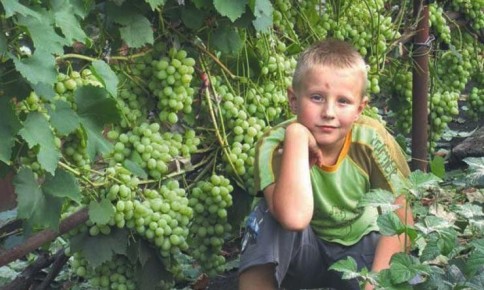 ����������� ��������� � �������