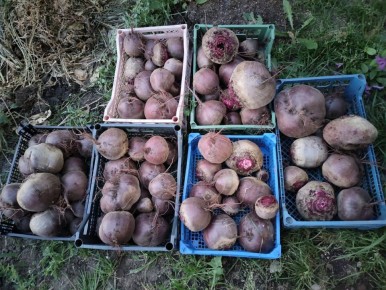 ������ � �������� �������: ��� �������� ������� ������ ���� �� ��������� �����