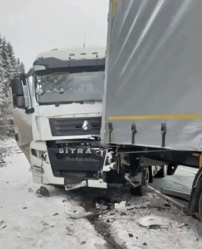 � ����������� ������ �� ������ ����������� ��� ���������