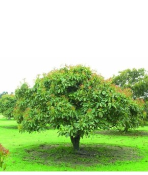 ��� ������ �������: ������ ���������� � ������