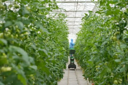 ��������� �������� � ������ ������� � �����