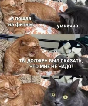 #��������