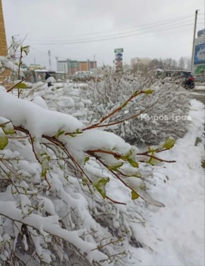 ���������� ���� ������� � ������ � �������