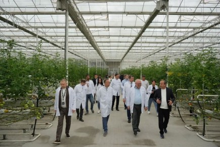 ��������� �������: � ���������� ��������� ������� �������� ���������������� ������� ���� ����� � ����������� �������