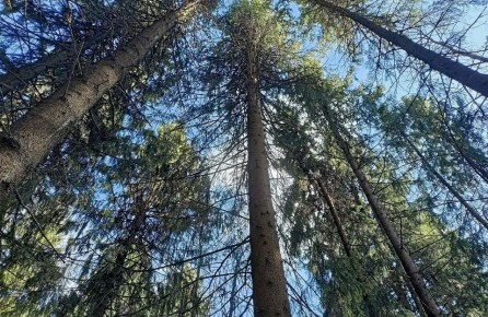 ����� 95% ����� ��������� ������� �������� � ������